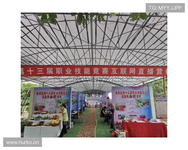 中超联赛直播入口汇总,快速进入精彩赛事观看平台 - 副本 - 副本